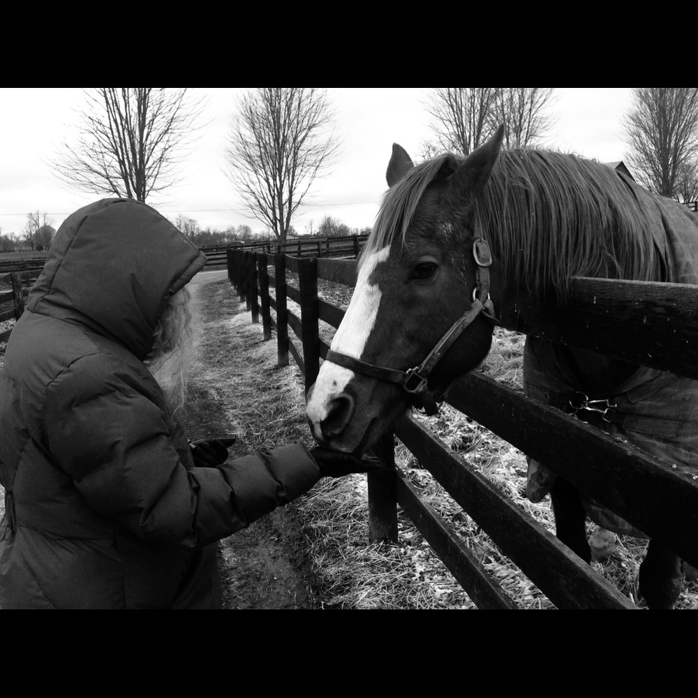 Meet your Posher, Jeanette